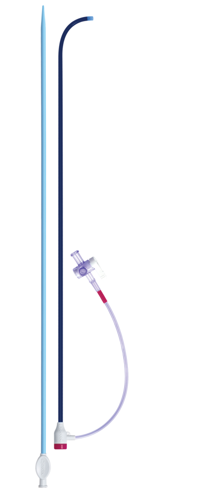 Adelante® Breezeway® - fixed curve guiding sheath